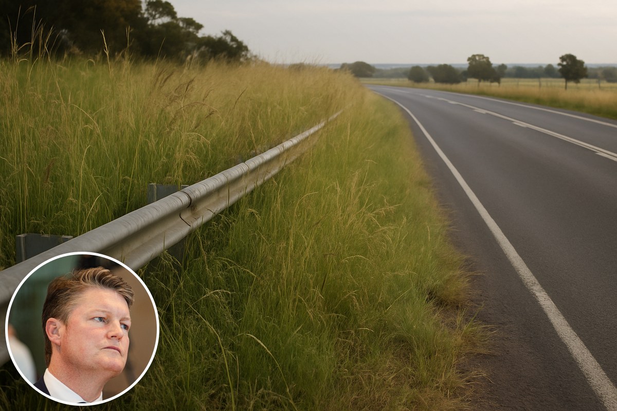 Long overgrown grass on a rural roadside verge beside a guardrail, with an inset portrait of Premier Ben Carroll.