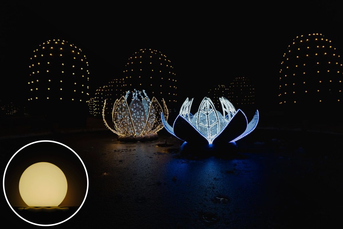 Illuminated lotus-shaped light sculptures glowing in a garden at night.