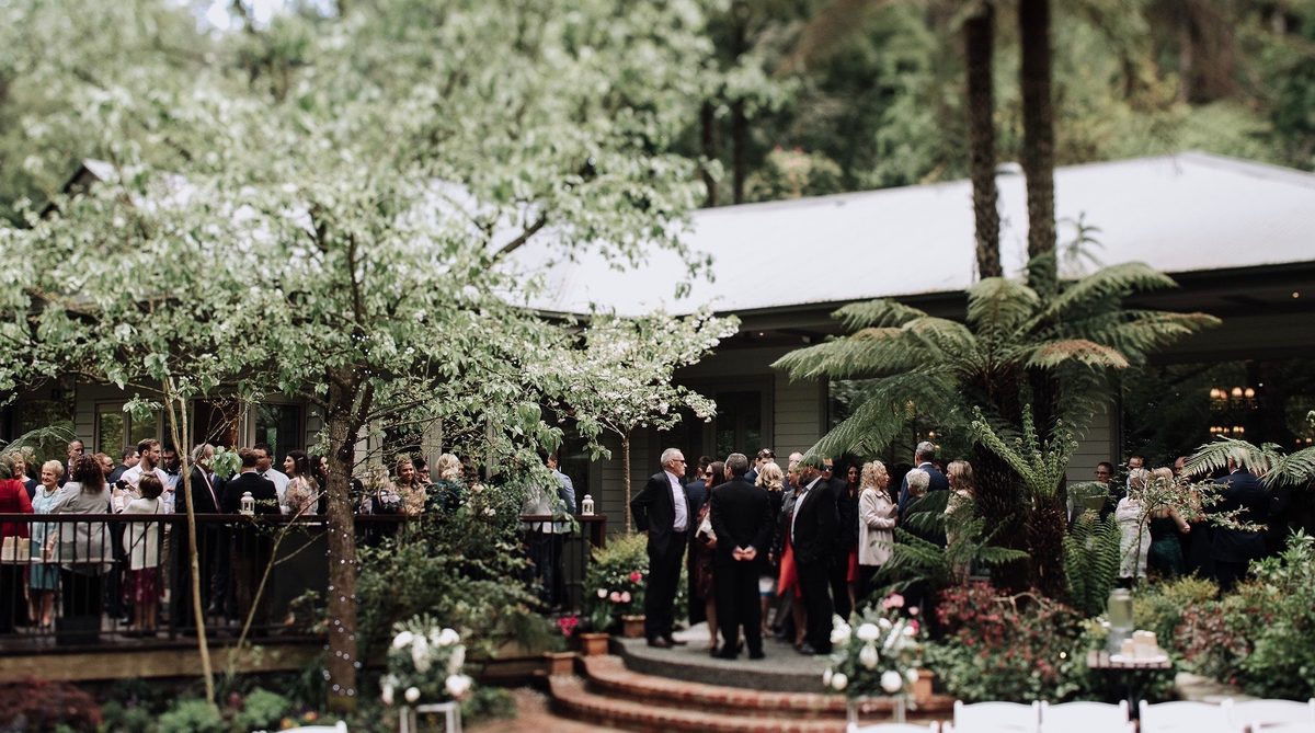 Wedding guests stand talking on a timber deck surrounded by tree ferns outside the venue.