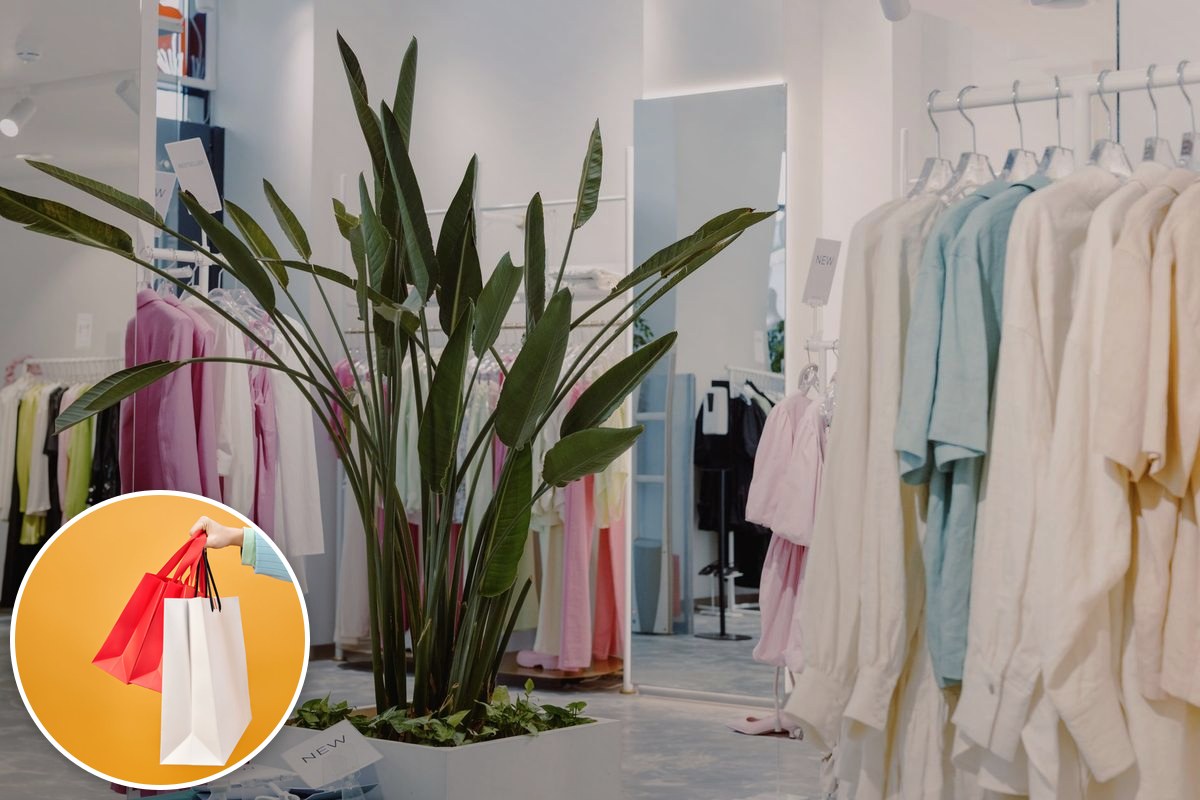 A bright, modern fashion boutique interior with pastel garments on racks and a large leafy plant.