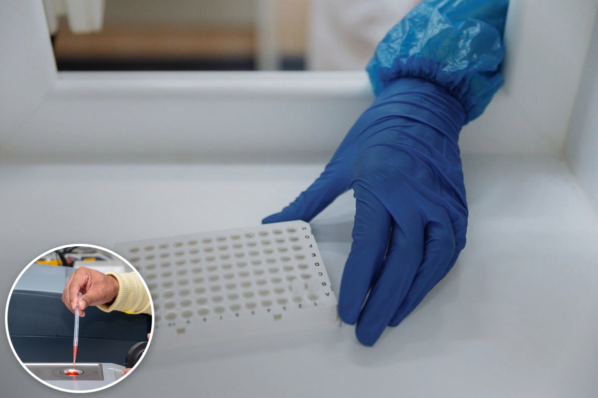 A scientist in protective gloves handling a tray of test samples in a sterile laboratory.